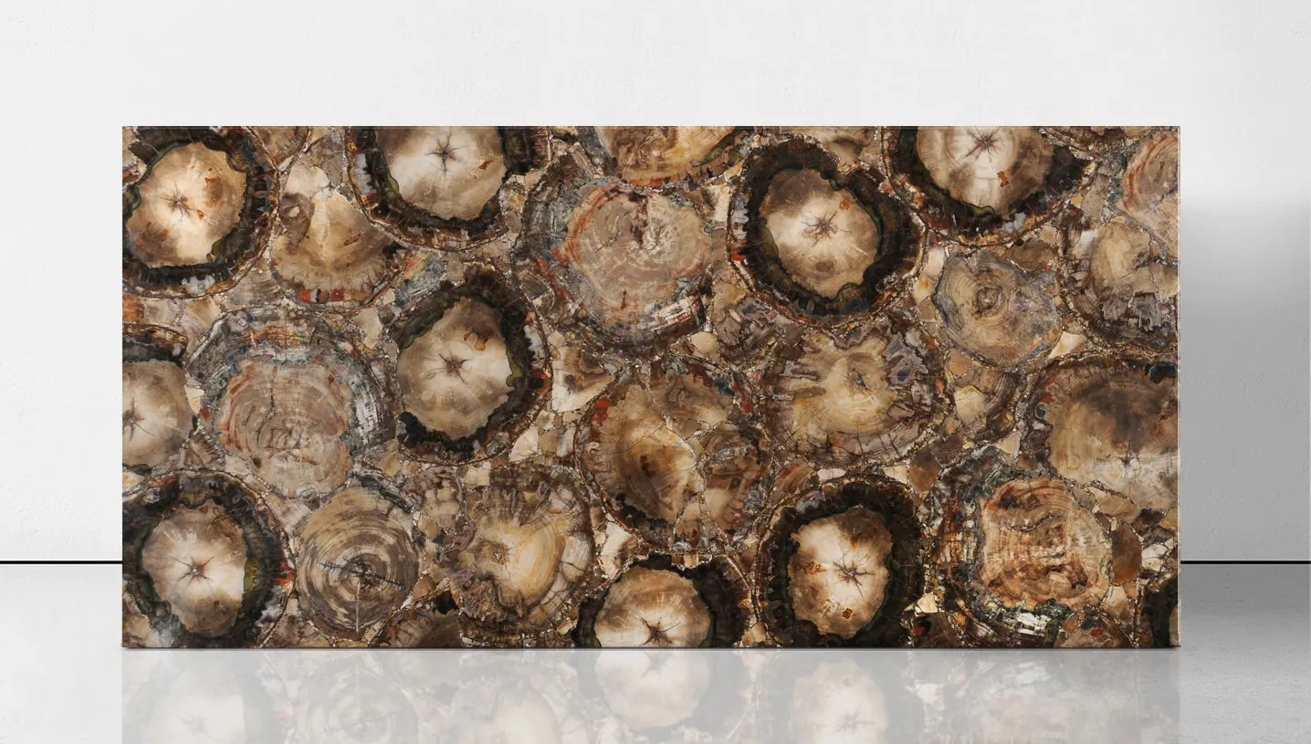 Petrified Wood Brown, полудрагоценные камни — образец натурального камня