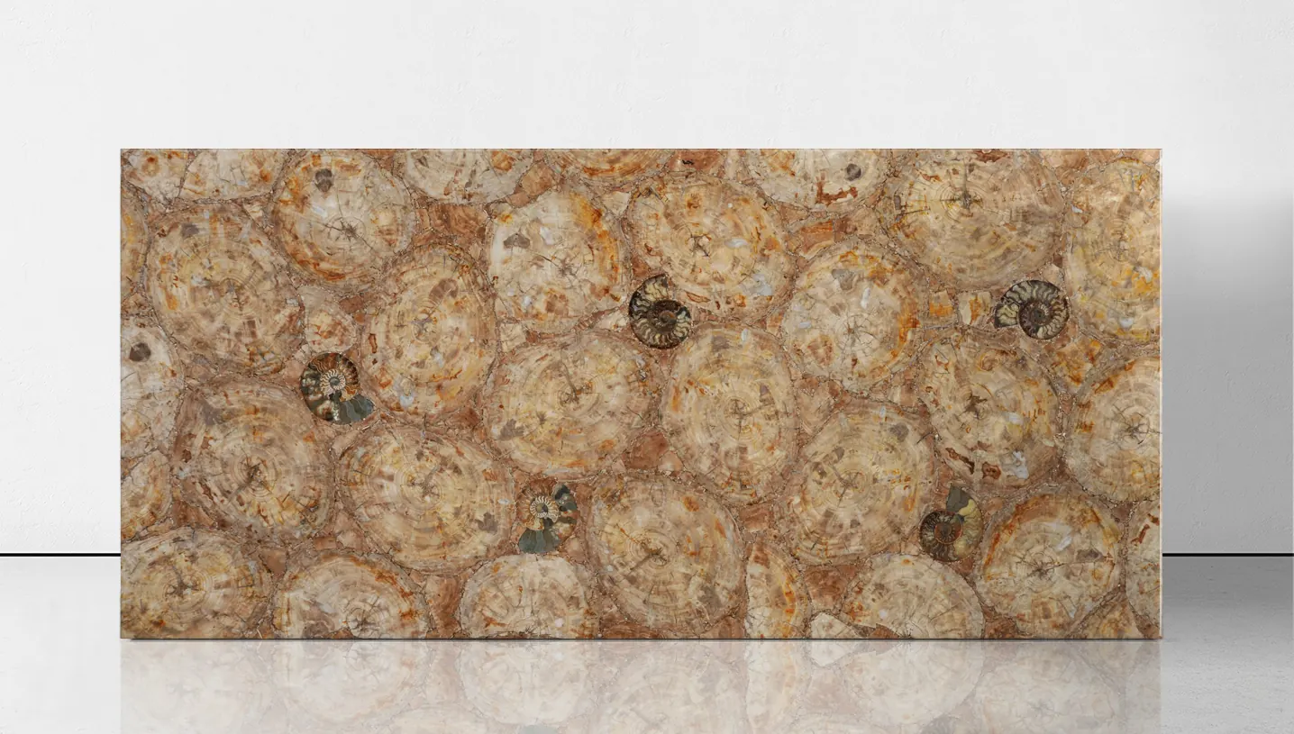 Petrified Wood Ivory with Ammonites, полудрагоценные камни — образец натурального камня